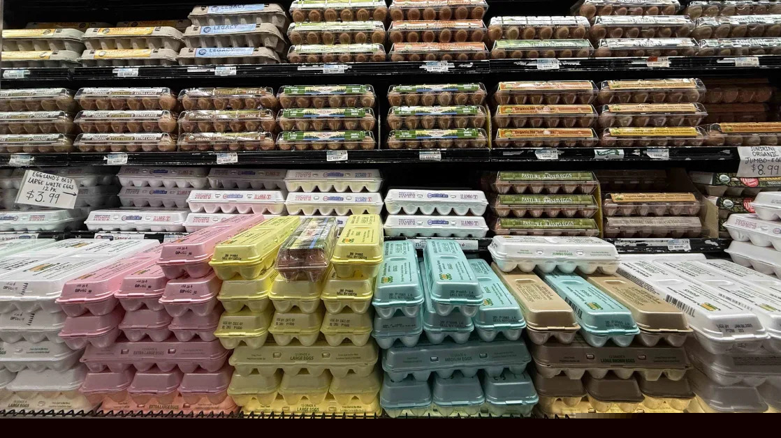 Cal-Maine Foods Stock Climbs on Strong Earnings, Thanks to Higher Egg Prices