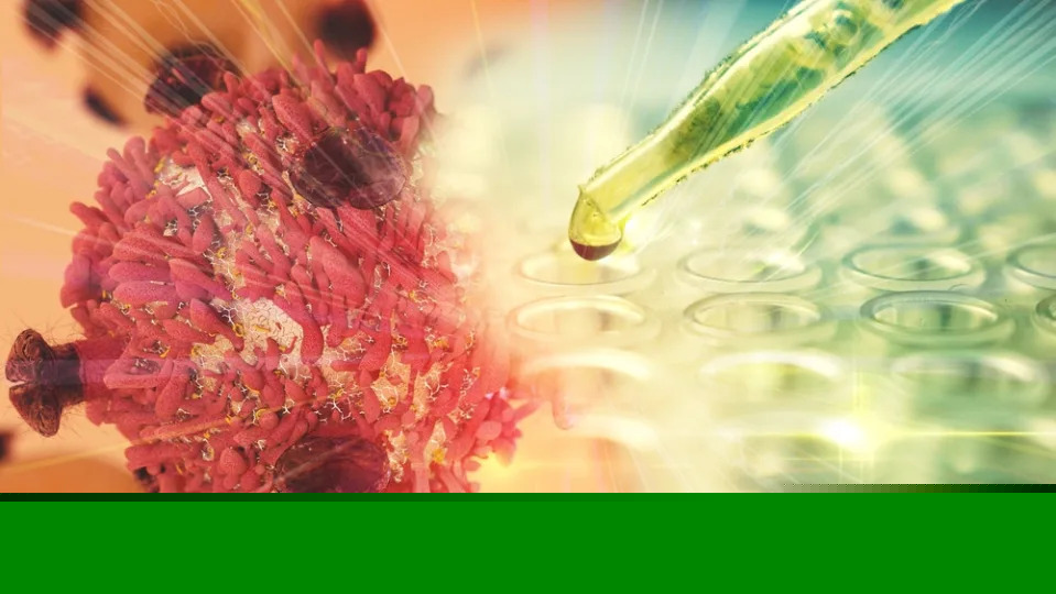 Why Is Cancer-Focused Mersana Therapeutics Stock Trading Lower On Friday?