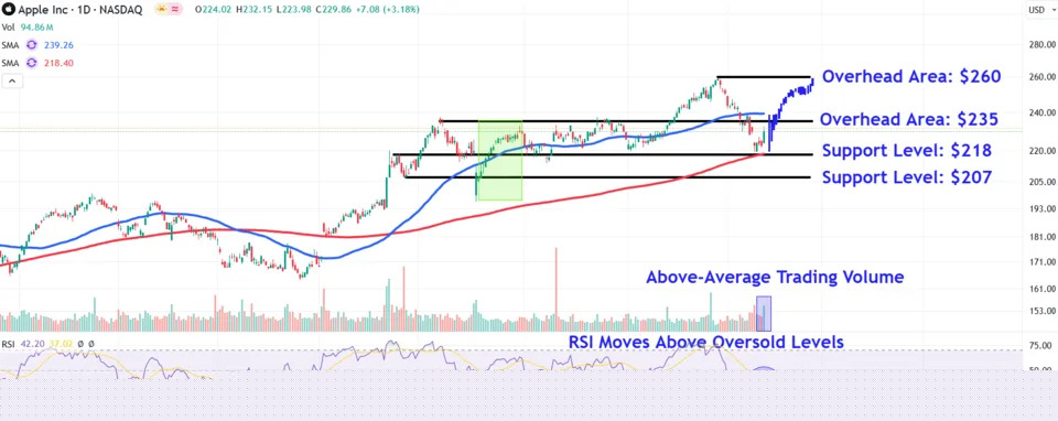 Apple Stock Avoided the DeepSeek Selloff—Watch These Key Price Levels
