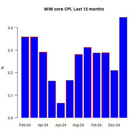 January CPI: Navigating Volatile Data and Tariff Impacts