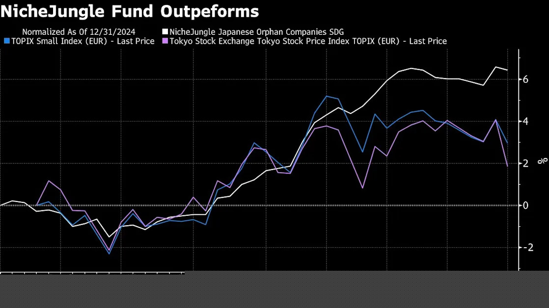 Japan Small-Cap Fund Tops Rivals With Stocks Few Analysts Cover